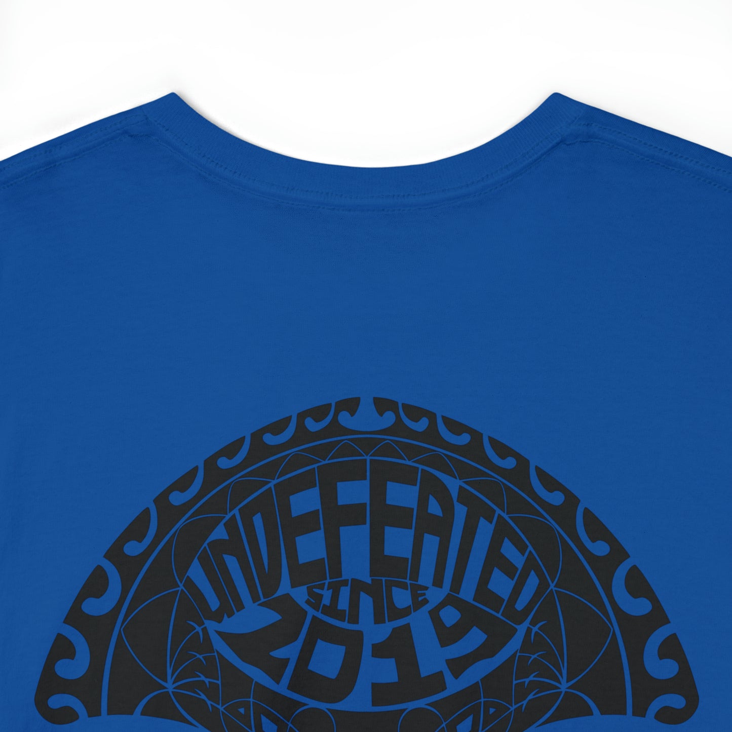 Stingrays t-shirt 2023 Black Logo on Back