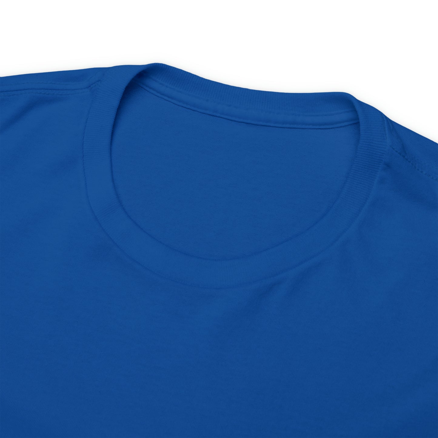 Stingrays t-shirt 2023 Black Logo on Back